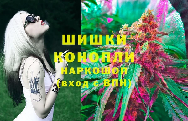 ГАЛЛЮЦИНОГЕННЫЕ ГРИБЫ Алзамай