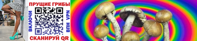 Псилоцибиновые грибы Psilocybe  Разумное 